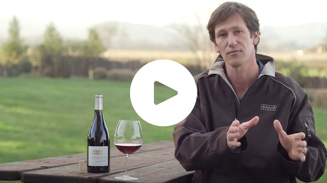 Davis Bynum Clone 115 Pinot Noir Video Thumbnail