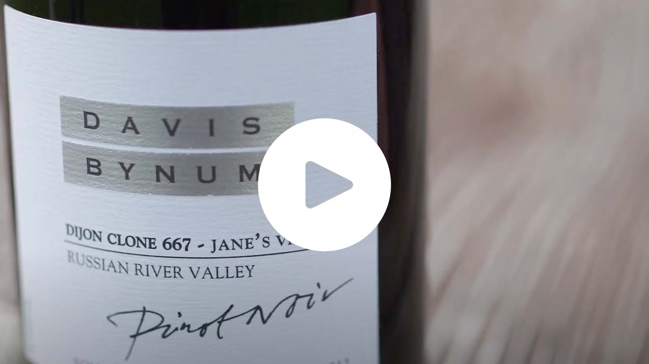 Davis Bynum Clone 667 Pinot Noir Video Thumbnail