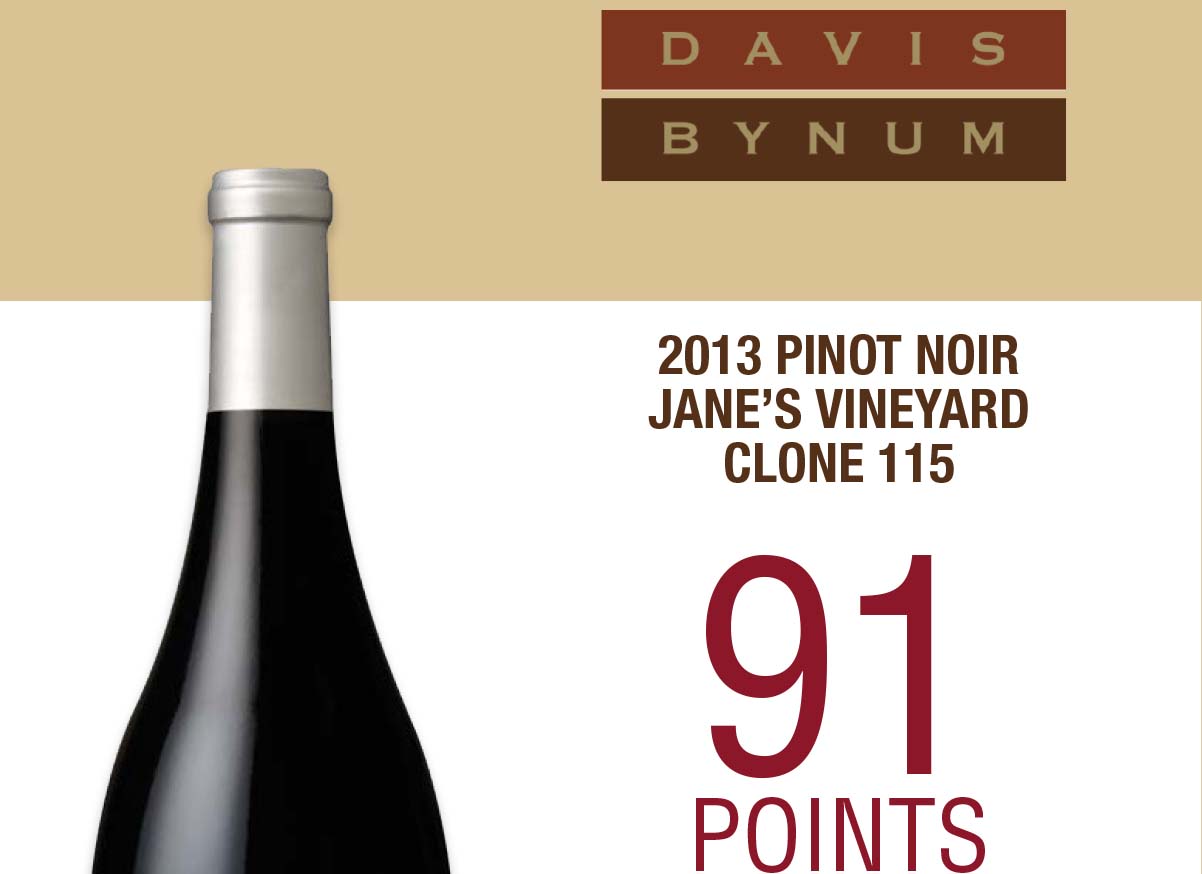 2013 Jane's Vineyard Pinot Noir, Clone 115 - Wine Enthusiast Thumbnail