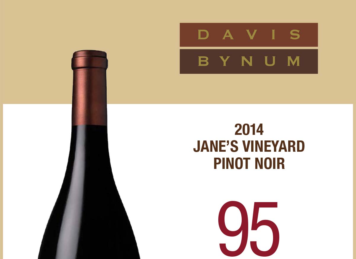2014 Jane's Vineyard Pinot Noir 95 Points - New World International Thumbnail