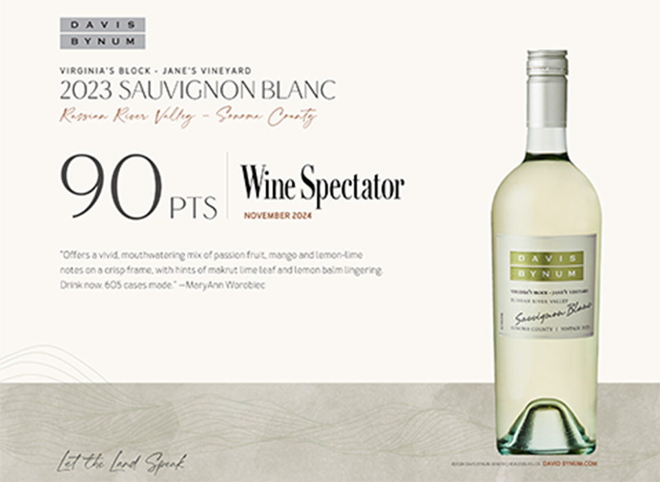 2023 Virginia's Block - Jane's Vineyard Sauvignon Blanc